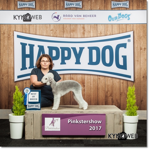 2017-06-04 Pinkstershow